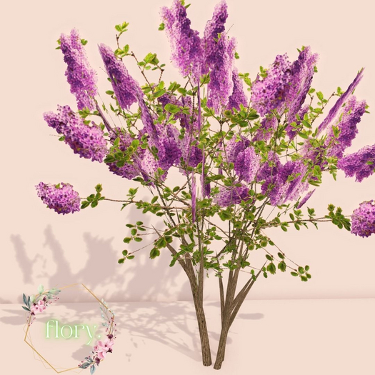 flory. - Lilac Bush (Purple)