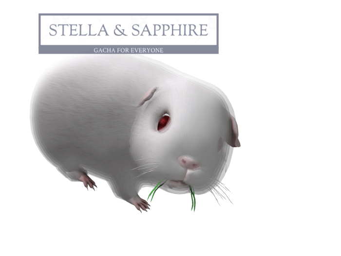 1. SEmotion Libellune Guinea Pig Companion RARE