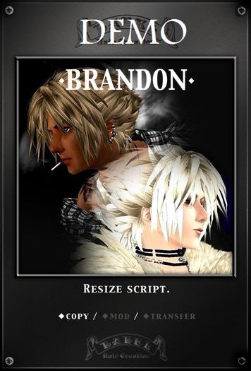 **BABEL**Brandon Hair DEMO
