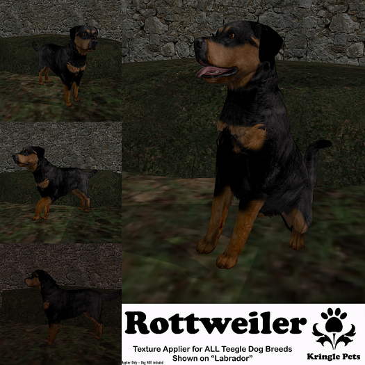 KP - Teegle Dog Pelt Applier -Rottweiler (ADD)