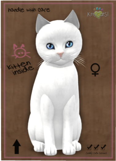 KittyCatS Box - Russian - White