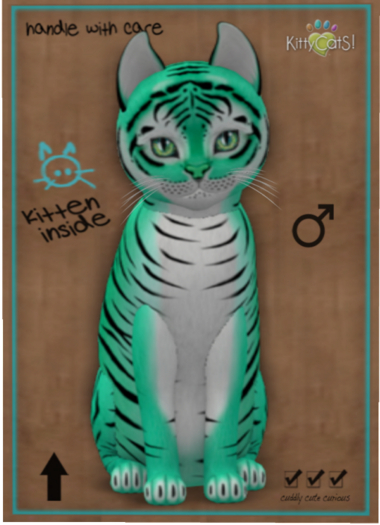KittyCatS Box - Tiger! - Seafoam