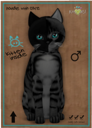 KittyCatS Box - Chimera - Charcoal Mist