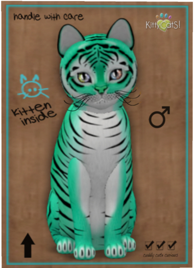 KittyCatS Box - Tiger! - Seafoam