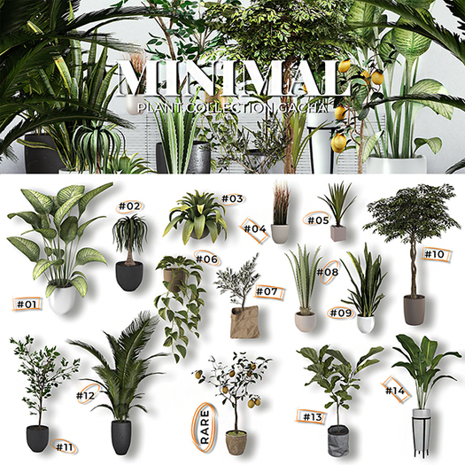 MINIMAL - Plant Collection Gacha #08