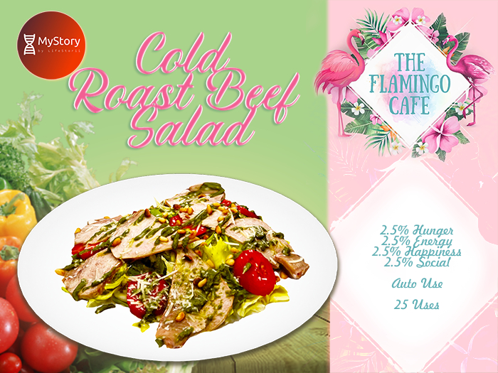 second-life-marketplace-mystory-cold-roast-beef-salad
