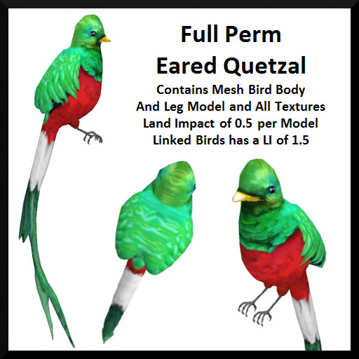 Full Perm Eared Quetzal
