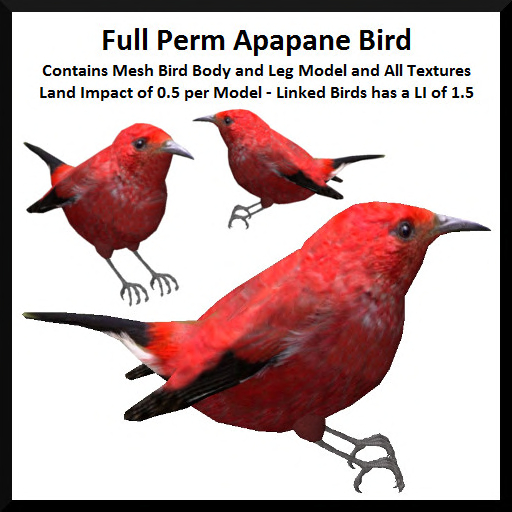 Full Perm Apapane Bird