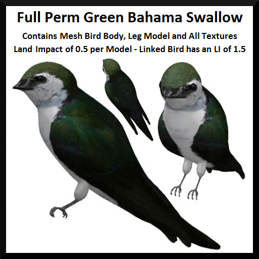 Full Perm Green Bahama Swallow