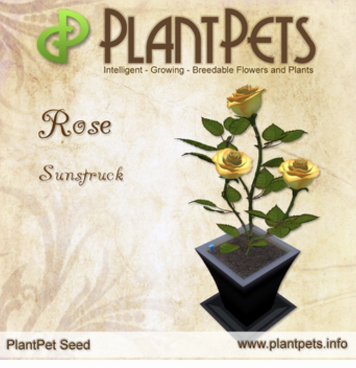 PlantPet Seed RARE [Rose *Sunstruck*]