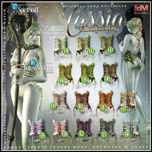 14 !dM Cassia **FROZEN** (BOX LARA)