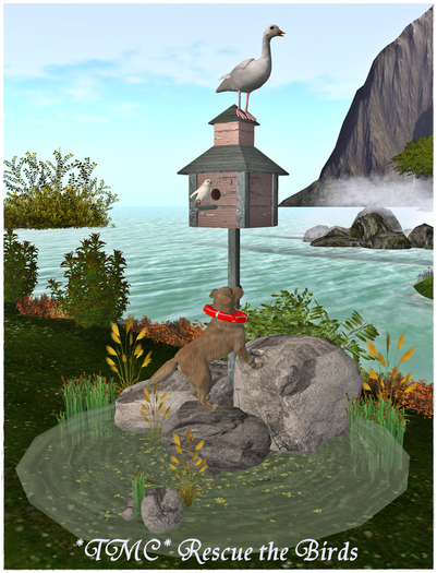 ~TMC~ Rescue the Birds