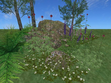 RW - Summer spring aspen rock flower garden patch *Illuka* c/m