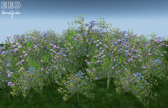 EED's WILD FLOWERS BLUE resizer c