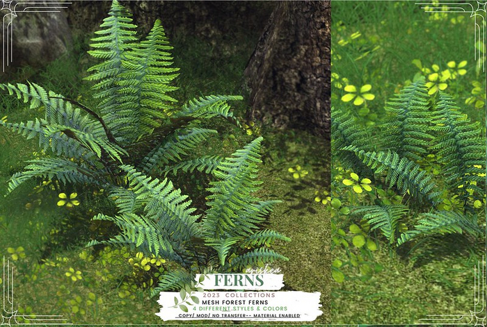 Ariskea[Ferns] Forest Ferns [Set]