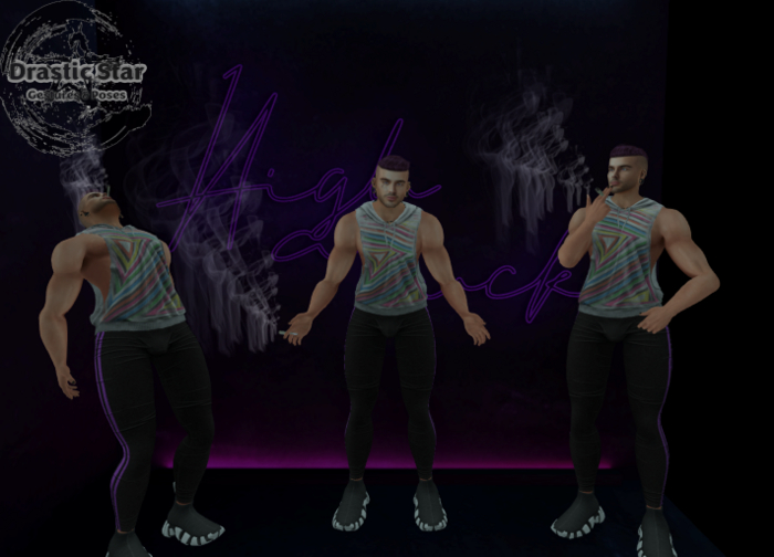 DSGP ~ 420 Standing Pose Set