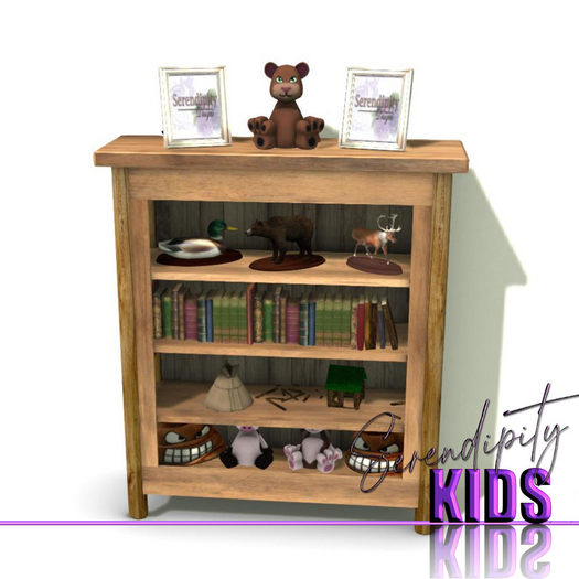 Serendipity Kids - Lil Warriors BR Bookcase
