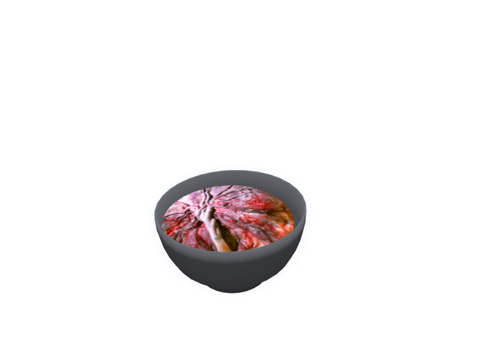 (RBB) Placenta Bowl