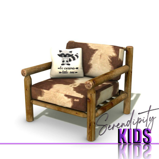 Serendipity Kids - Lil Warriors BR Chair
