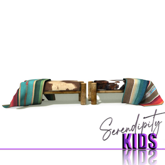 Serendipity Kids - Lil Warriors BR Benches