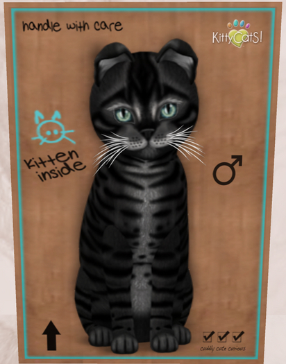 Meow Manor-Toyger Coal