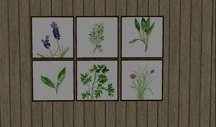 Botanical prints - herbs