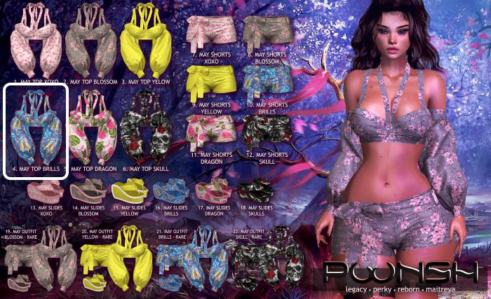 4. POONSH MAY TOP BRILLS MAITREYA ONLY