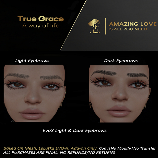 Evox Light & Dark Eyebrows