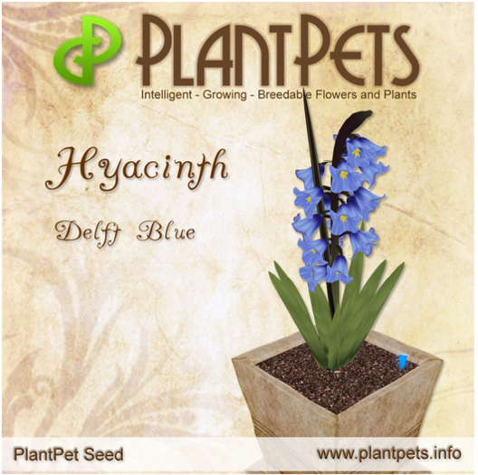 PlantPet Seed [Hyacinth *Delft Blue*]Common