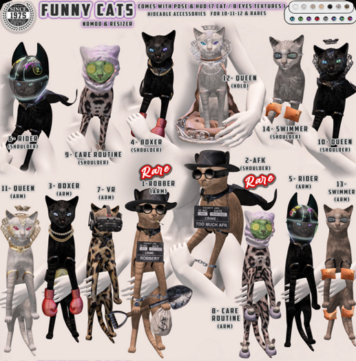 03.[Since1975] Boxer Cat / Arm