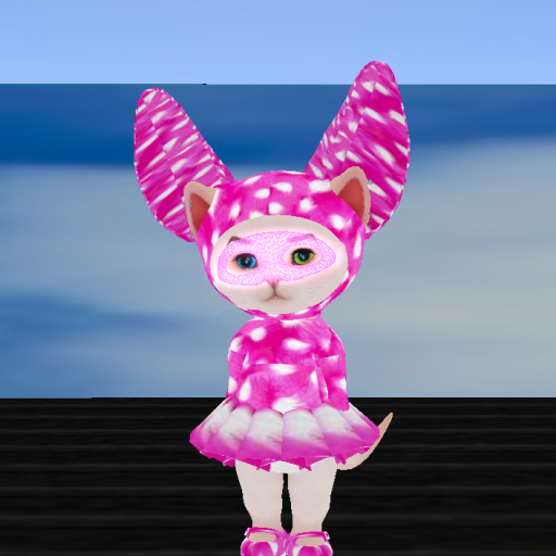 COLORFULanimalPrint SET