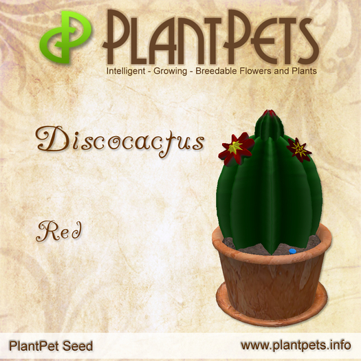PlantPet Seed [Discocactus *Red*]