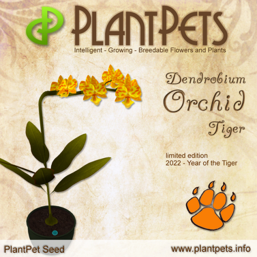 PlantPet Seed [Dendrobium Orchid *Tiger*]