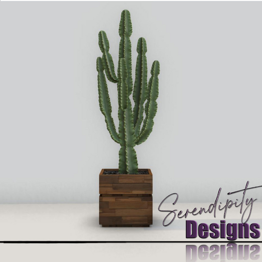 Serendipity Designs - Missoula Potted Cactus