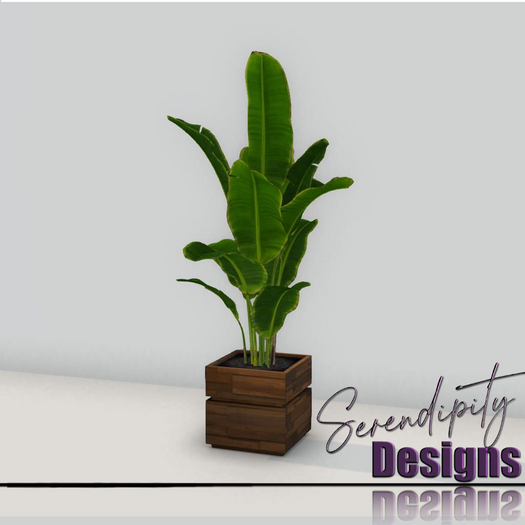 Serendipity Designs - Missoula Potted Banana Tree