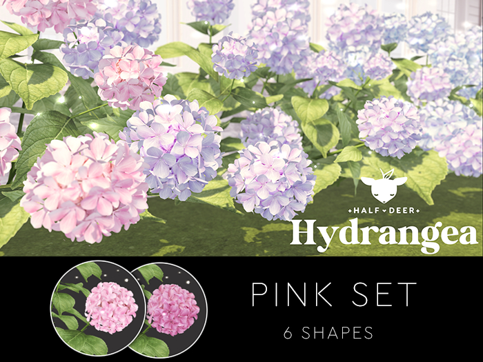 Hydrangea - Pink