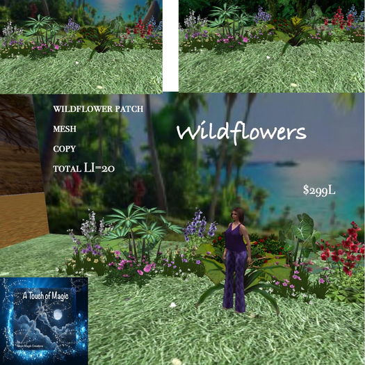 Long wildflowers & plants patch-Box-LI=20