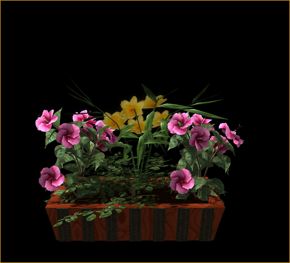 Colorful flowers in planter, pink yellow