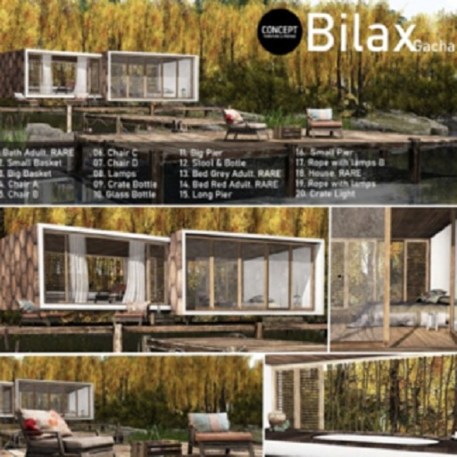 CONCEPT}18. Bilax . House. RARE