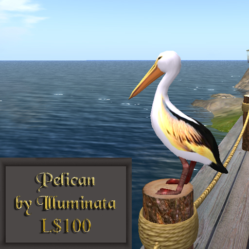 Pelican by Illuminata