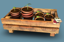3. Myrrine. Gardening set plants in a crate