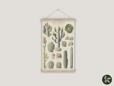 Second Life Marketplace - .spruce. field guide posters {cacti}