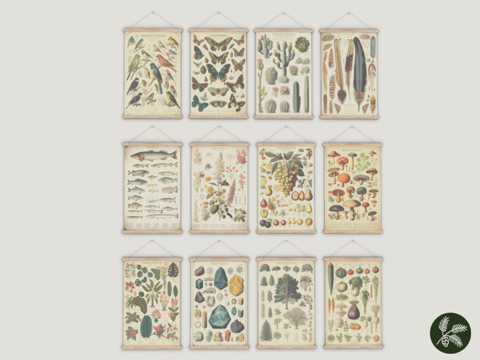 Second Life Marketplace - .spruce. field guide posters {fatpack}