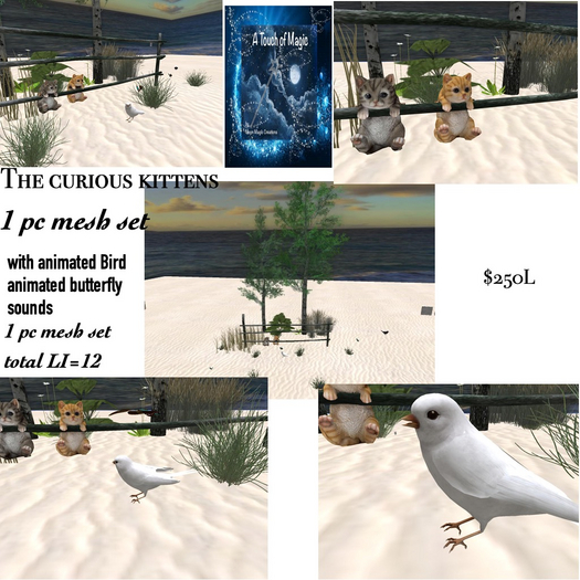 The Curious Kitten set-Box LI=12