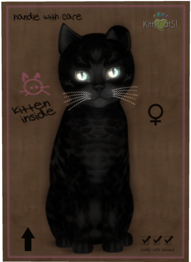 KittyCatS Box - Bengal - Black