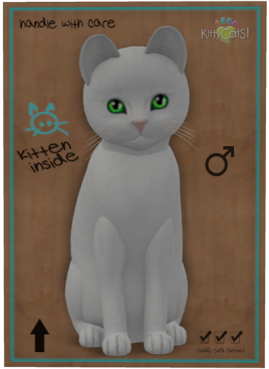 KittyCatS Box - Russian - White