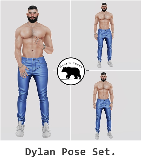 ll Bear's Poses ll Dylan Set.