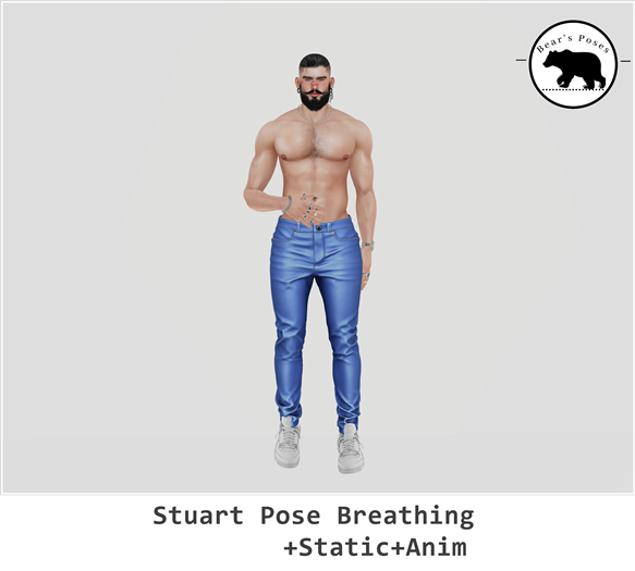 ll Bear's Poses ll Stuart Set.