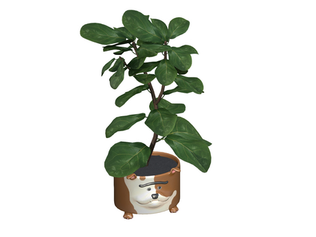 Second Life Marketplace - 15. -MUSU- Puppy Pot (Bulldog - Fig)