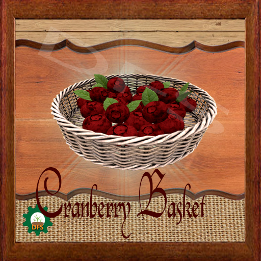 DFSTexture- Cranberry Basket
